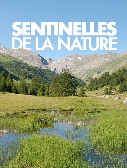 Sentinelles de la nature