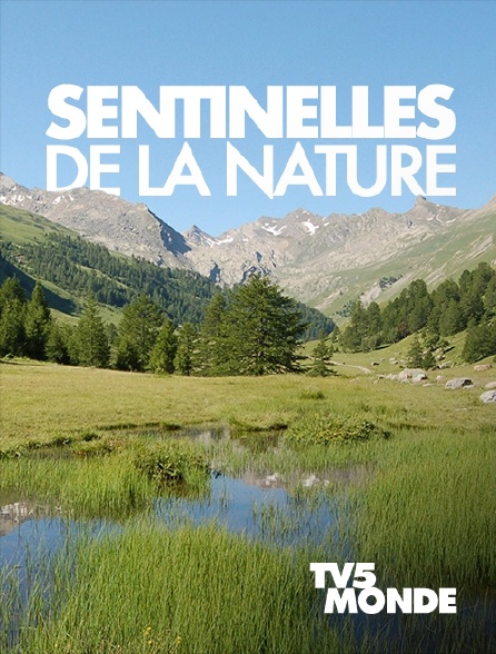 TV5MONDE - Sentinelles de la nature