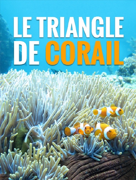 Le triangle de corail