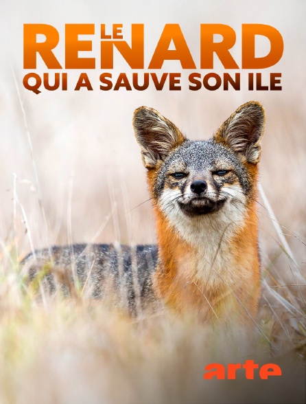 Arte - Le renard qui a sauvé son île