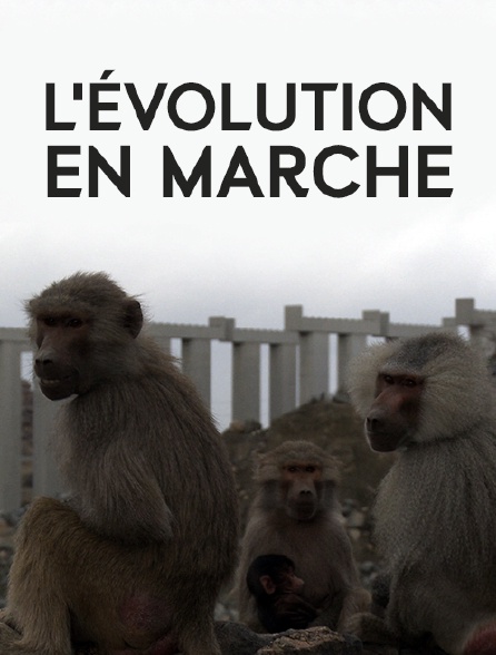 L'évolution en marche