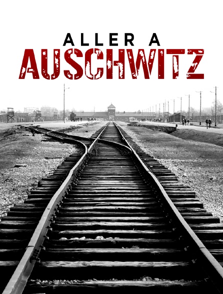 Aller à Auschwitz