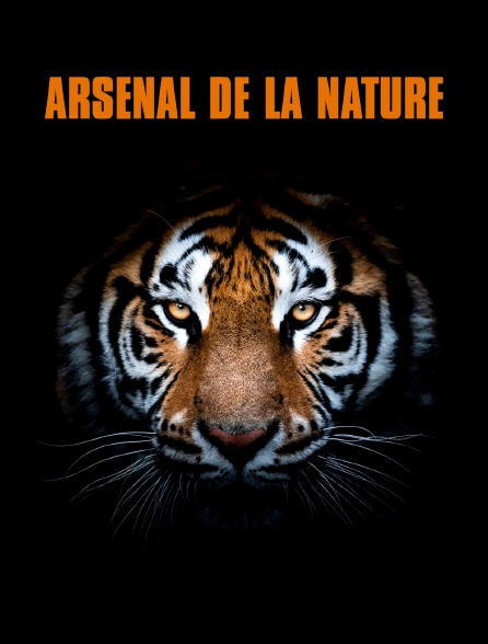 Arsenal de la nature
