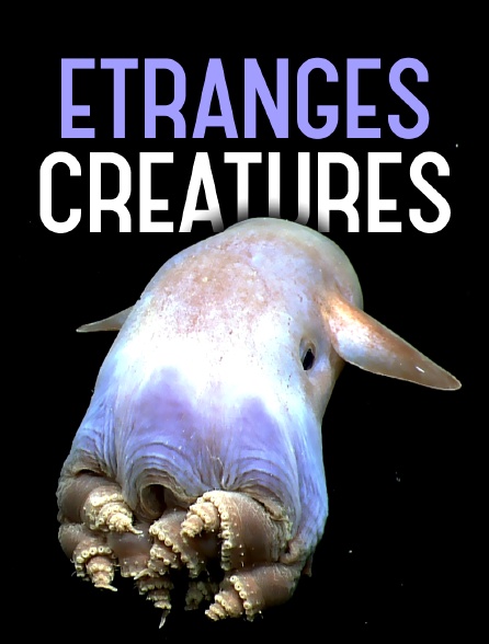 Etranges créatures