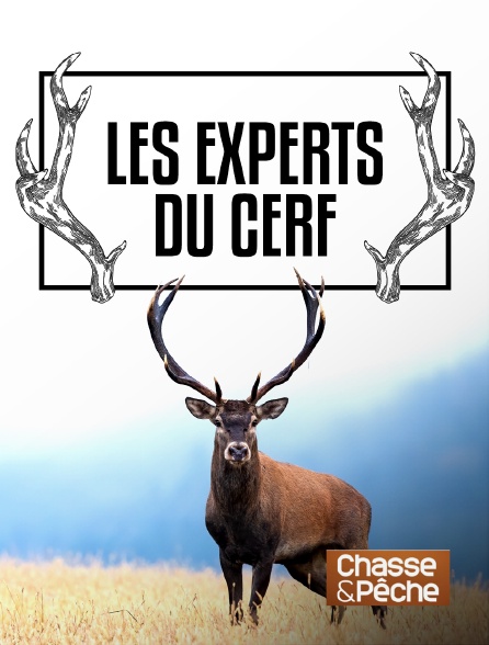 Chasse et pêche - Les experts du cerf