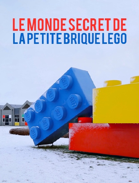 Le monde secret de la petite brique Lego