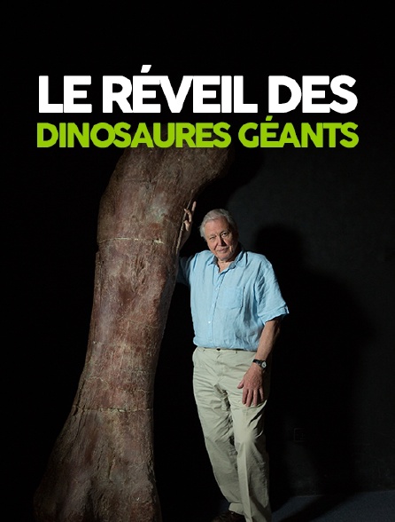 Le réveil des dinosaures géants