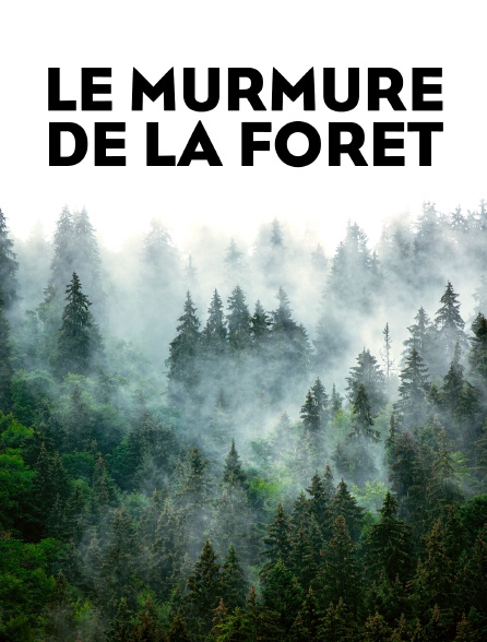 Foret et Bien Être Le murmure de la forêt. Quand les arbres parlent Jpg