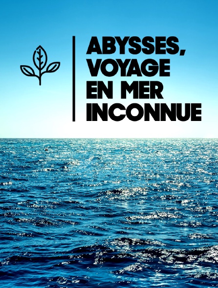 Abysses, voyage en mer inconnue