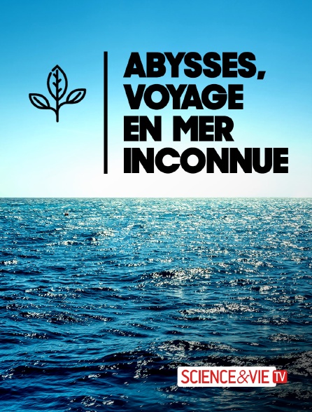 Science et Vie TV - Abysses, voyage en mer inconnue