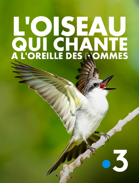 France 3 - L'oiseau qui chante à l'oreille des hommes