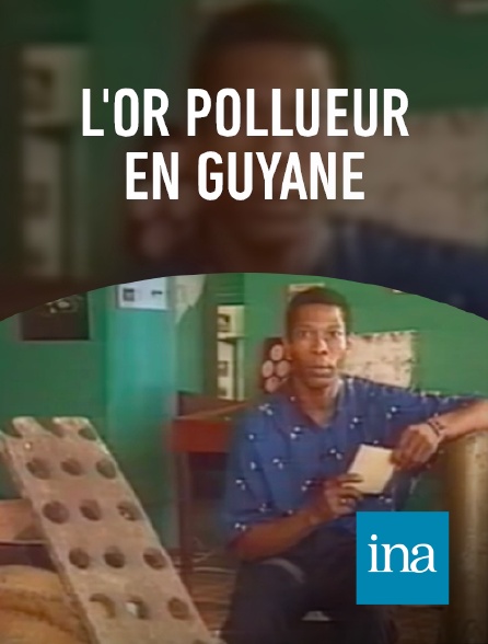 INA - L'or pollueur en Guyane