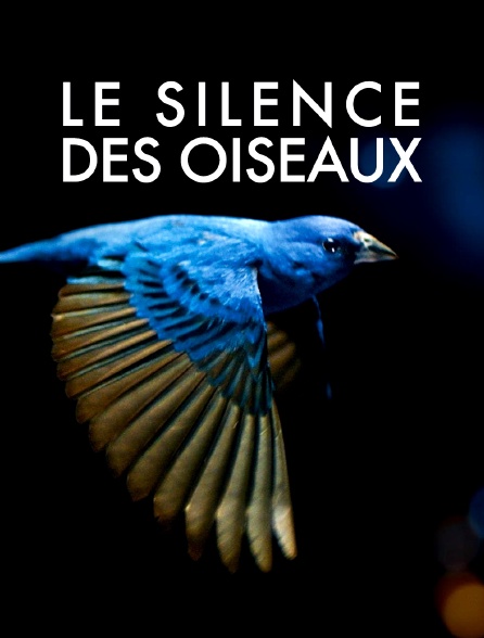 Le silence des oiseaux