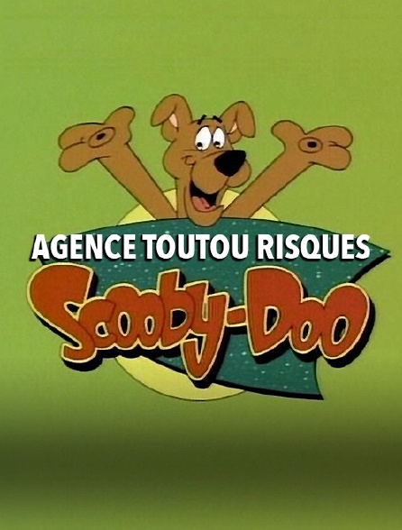 Agence toutou risques