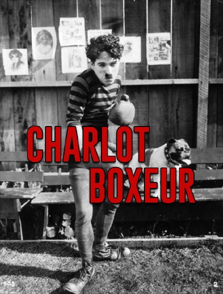 Charlot boxeur