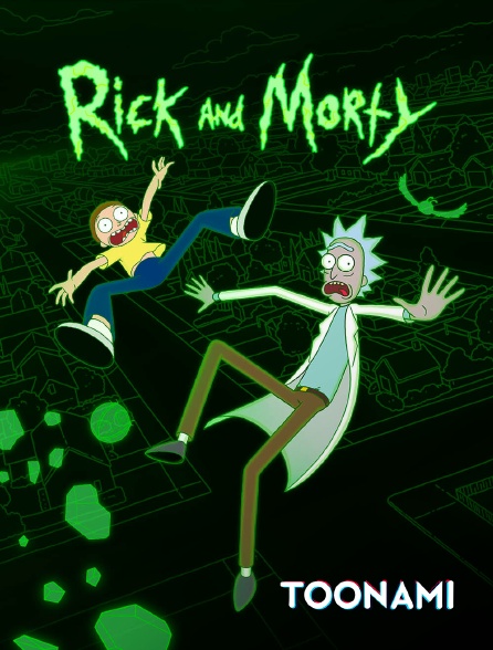 Toonami - Rick et Morty