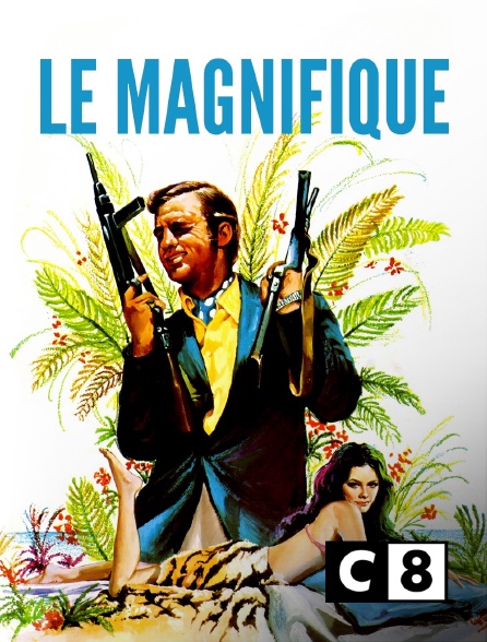 C8 - Le magnifique