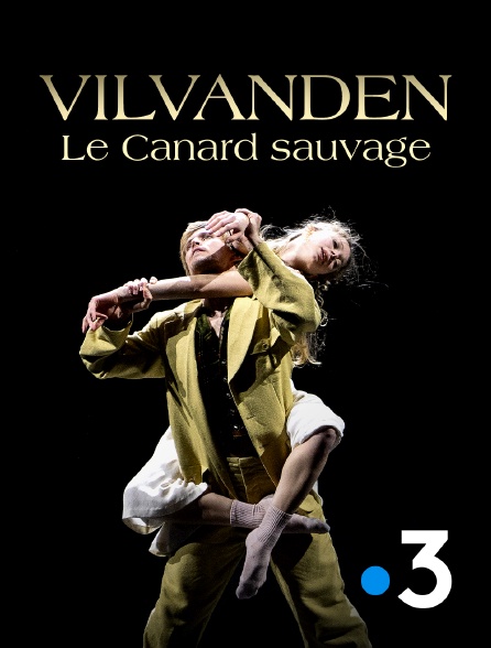 France 3 - Vilvanden - Le Canard sauvage