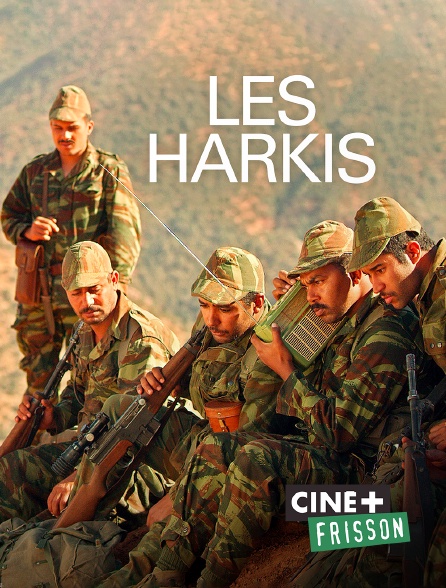 Ciné+ Frisson - Les Harkis