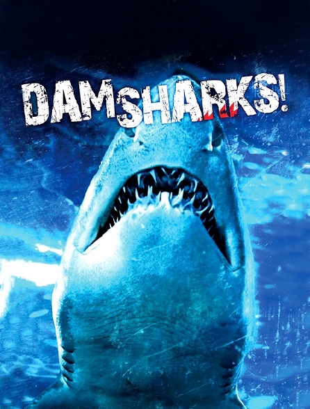 Dam Sharks