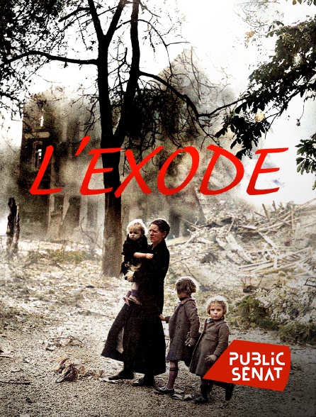 Public Sénat - L'exode