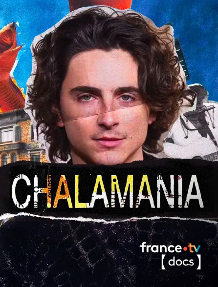 France TV Docs - Chalamania : à la poursuite de Timothée Chalamet