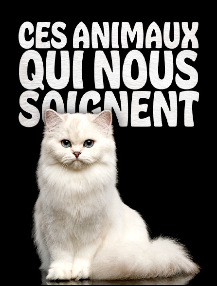 Ces animaux qui nous soignent