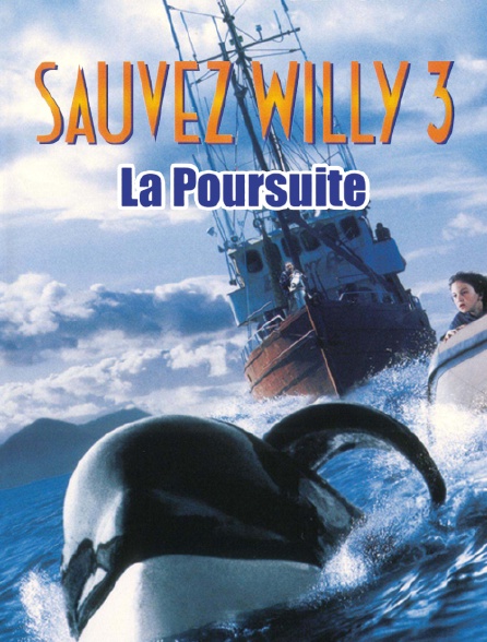 Sauvez Willy 3, la poursuite