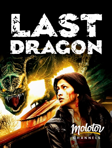 Molotov Channels - Last Dragon