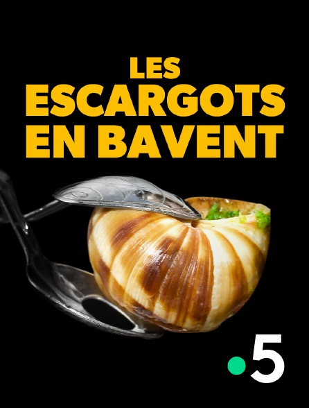 France 5 - Les escargots en bavent