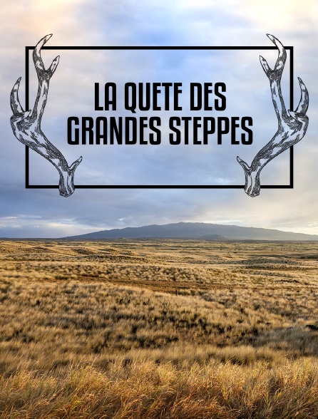 La quête des grandes steppes
