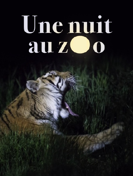 Une nuit au zoo