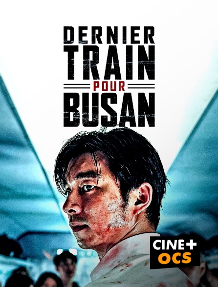 CINÉ Cinéma - Dernier train pour Busan
