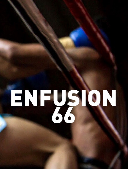 Enfusion 66