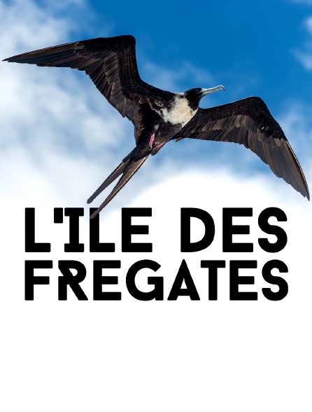 L'île des frégates