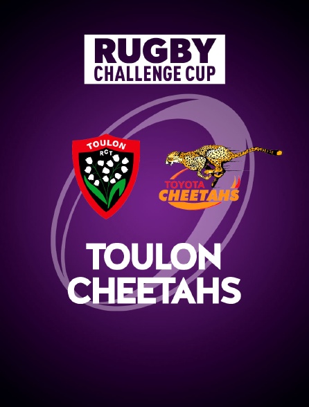 Rugby - Challenge Cup : Toulon / Cheetahs