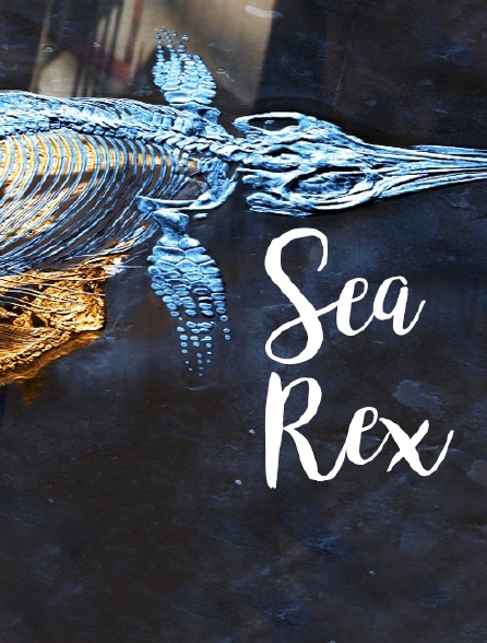Sea Rex by Molly Idle