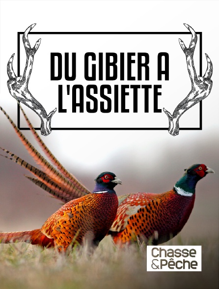 Chasse et pêche - Du Gibier à l'Assiette