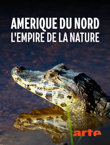 Arte - Amérique du Nord : L'empire de la nature