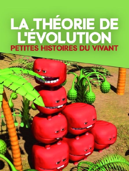 La théorie de l'évolution : petites histoires du vivant