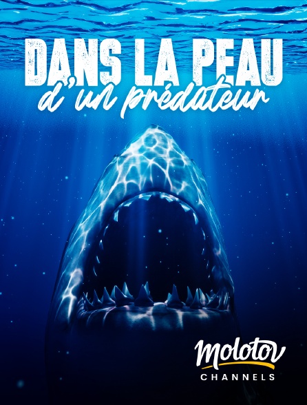 Molotov channels - Dans la peau d'un prédateur