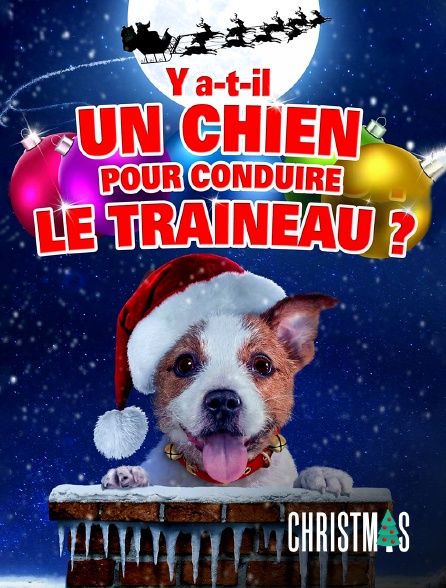 CHRISTMAS by Molotov - Y a-t-il un chien pour conduire le traîneau ?