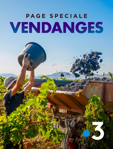 France 3 - Page spéciale - Vendanges