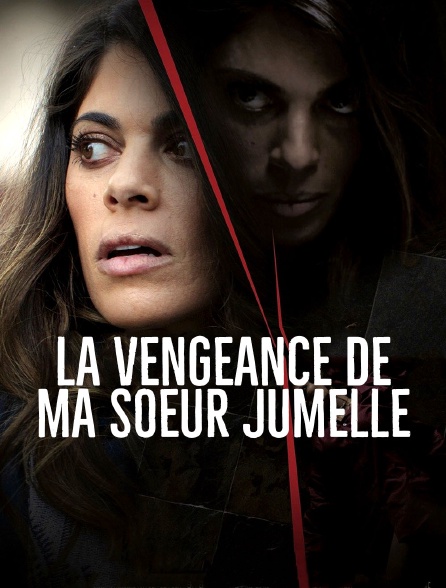 La vengeance de ma soeur jumelle