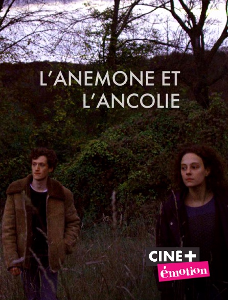 Ciné+ Emotion - L'Anémone et l'Ancolie