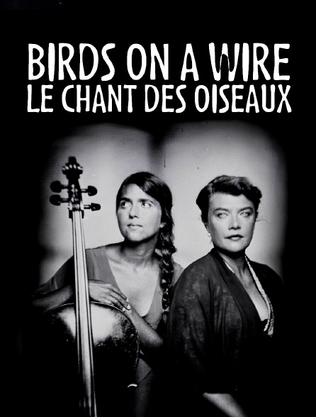 Birds on a Wire - Le Chant des oiseaux
