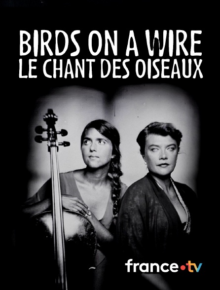 Culturebox - Birds on a Wire - Le Chant des oiseaux