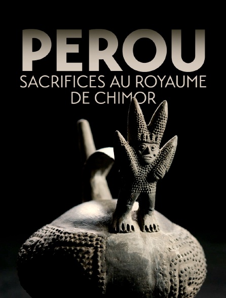 Pérou, sacrifices au royaume de Chimor