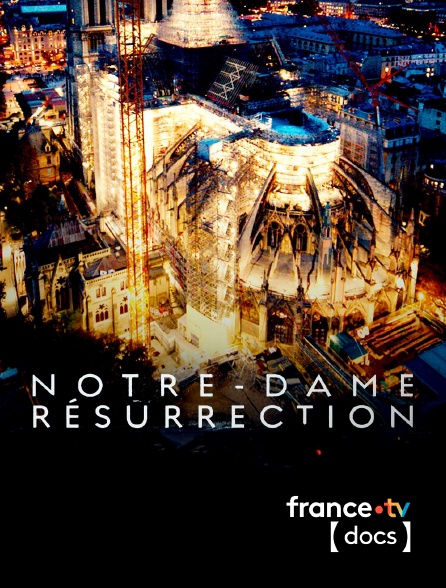 France TV Docs - Notre-Dame Résurrection