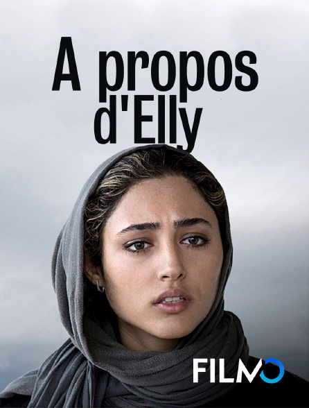  Propos D Elly En Streaming Sur FilmoTV Molotov tv